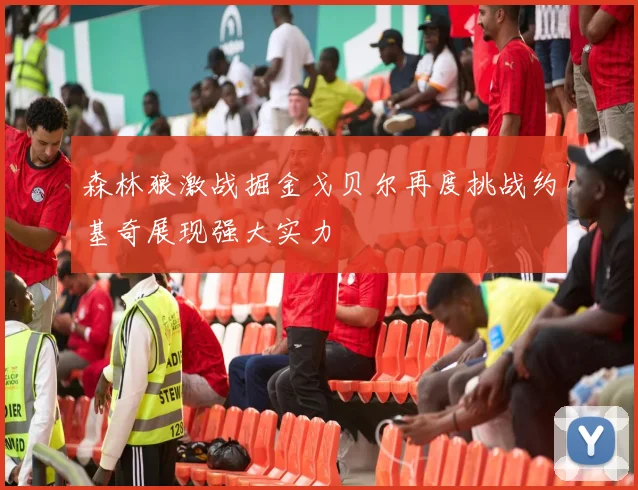 森林狼激战掘金戈贝尔再度挑战约基奇展现强大实力