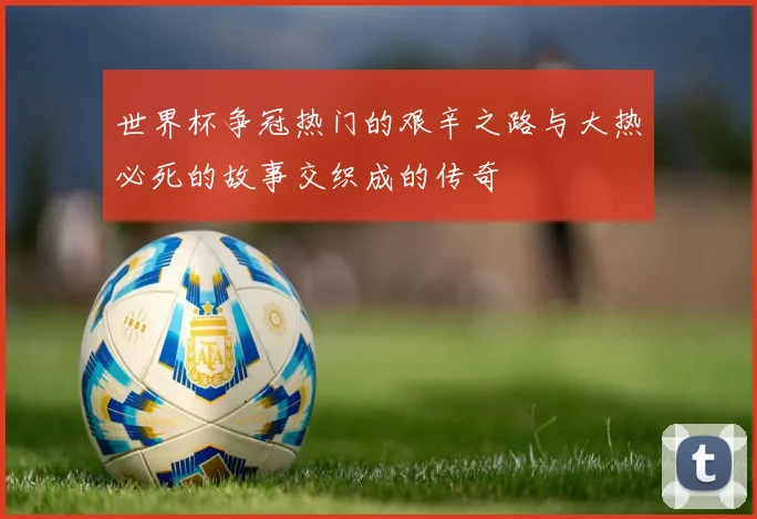 世界杯争冠热门的艰辛之路与大热必死的故事交织成的传奇